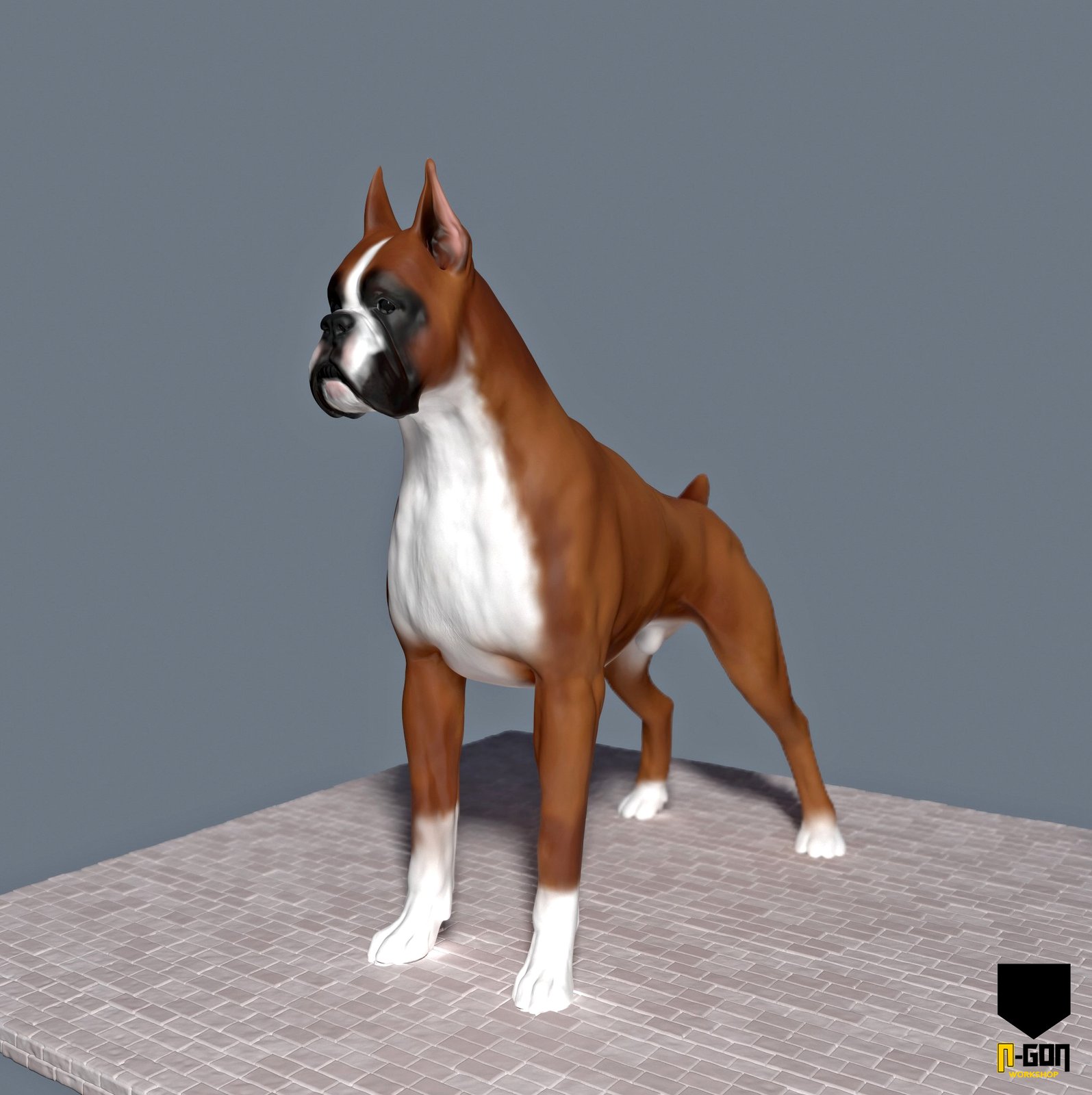 Perro boxer modelado en 3D a partir de fotos de la mascota